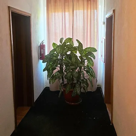 Хостел Casablanca